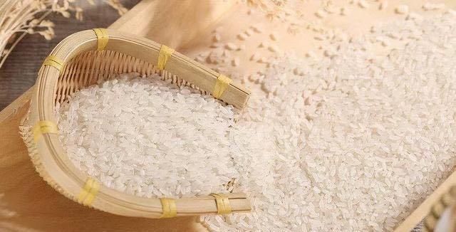 原来保存大米这么简单,学会这4招大米一年都不生虫,简单还实用