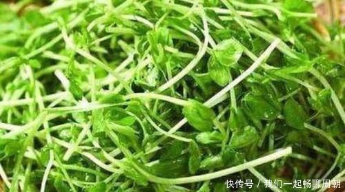 排毒|人到中年,要学会吃三种食物,排毒润肤,延缓衰老,增强皮肤弹性