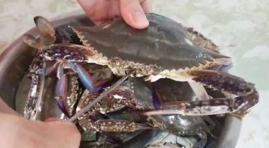 螃蟹|蒸螃蟹时,最忌直接上锅蒸,多加这一步,螃蟹鲜香,不掉腿不流黄