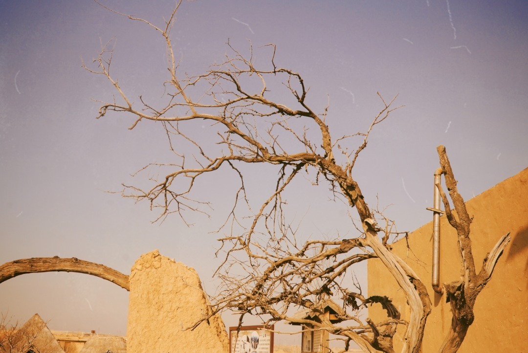 脚踏|一路银川,水洞沟遗址脚踏黄土来,机关四起藏兵洞