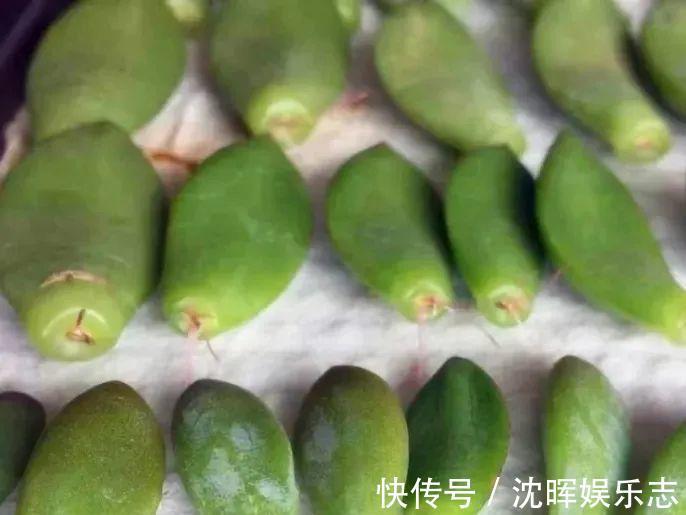 非洲堇|这花送人,只用送一片叶子,插土就活不心疼!