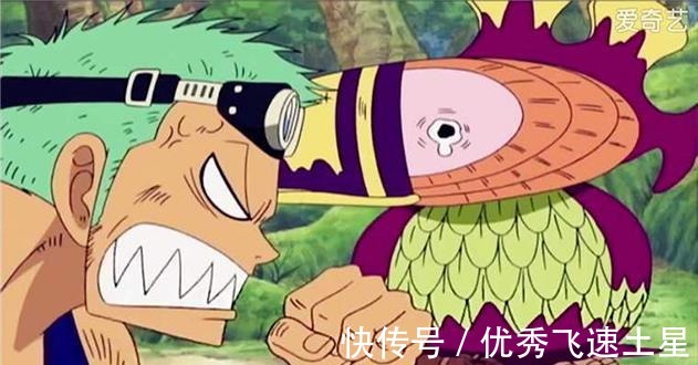 鸟类|海贼王中8种奇特鸟类，指南鸟头朝南边才舒服，有只企鹅叫骆驼