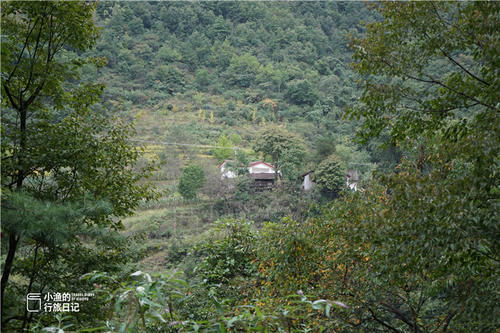 陕南秦岭深山，90多岁老人养鸡种花，这样的山居生活你向往吗？