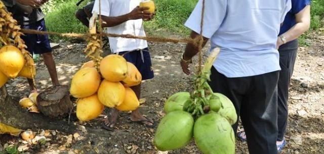 女人|女人喜欢的4种“水果”,减肥不成反增重,难怪腰上赘肉堆成块