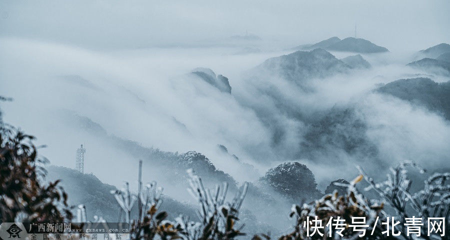 大明山|等你观赏！大明山景区12月26至28日将出现冰凌雾凇