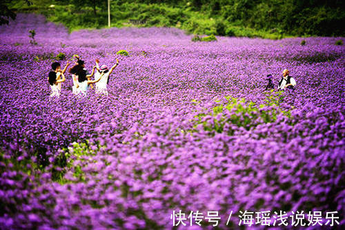 邻居的院子夏日几乎没“蚊虫”，原来是因为养了3种花，我也要养