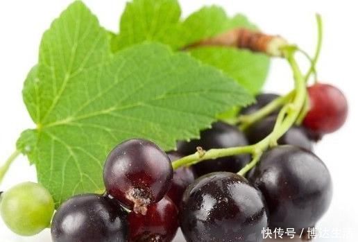 專家常吃此果子,降血壓,延緩衰老、保護視力、保護肝臟