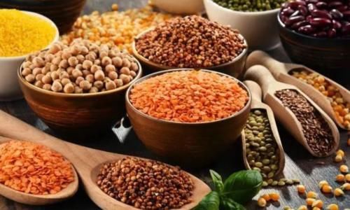 尿路感染|蛋白尿偏高怎么办？医生：牢记“饮食法”，不担心被肾衰竭缠上