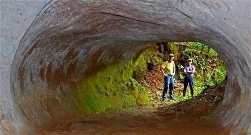 巴西发现一条距今13000年的隧道，有修建的痕迹，建造者却不是人