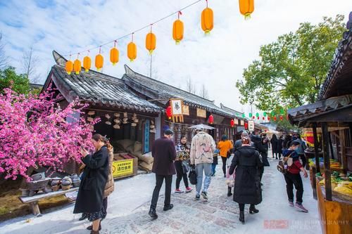 屋檐、地面雪白一片，大朵“雪花”从天而降，浙江宁波下雪了