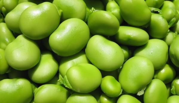 痴呆|人到中年最该吃的一种豆,比核桃还补脑,预防痴呆、清理血管