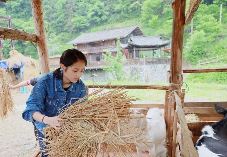 难怪选张子枫当常驻，《向往5》导演的要求，基本没女艺人能做到