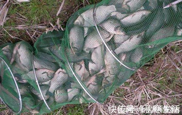 冬季钓鱼技巧风向与钓鱼的关系，冬季什么风向鱼最好钓