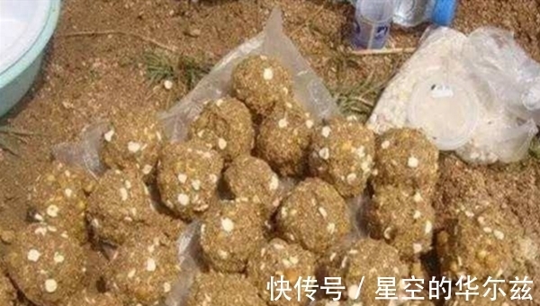 野钓聚鱼是难点，科学打窝的几个方法，让鱼越聚越多，狂拉到手酸