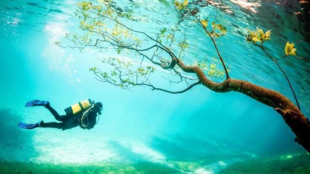 全球最“任性”的公园：一年只现身3个月，一言不合便藏入湖底！