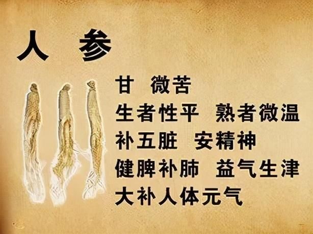  参与|人参与西洋参有何不同