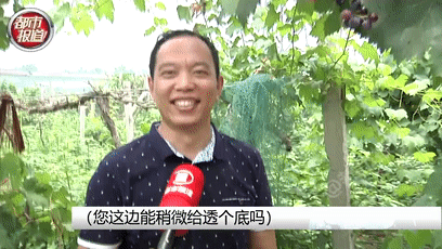 全村|震惊！“唐僧师徒”空降新郑，结果几乎全村的桃都没了
