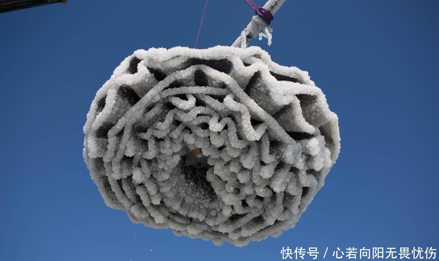 发生|这些物品被扔进死海里,再捞出来的时候发生了巨大的变化!