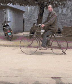 |搞笑GIF趣图:小子,你给我过来,你肯定是故意的!