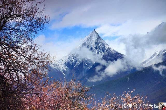 波密桃花开当桃花与雪山相遇，便成为云上仙境