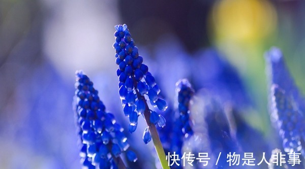 新妈妈|产后出汗、贫血等症状,建议食谱来调养!产后出汗、贫血等症状,建议食谱来调养!