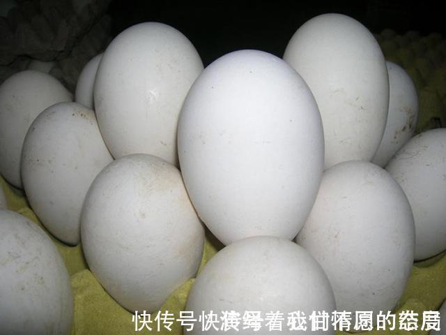 孕妈们|怀孕了记得常吃这5种食物,宝宝出生后“颜值高”,宝妈别错过!