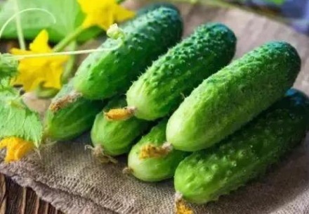 骨质疏松|立秋少吃两瓜，多吃三白，冬天骨头不再“脆”