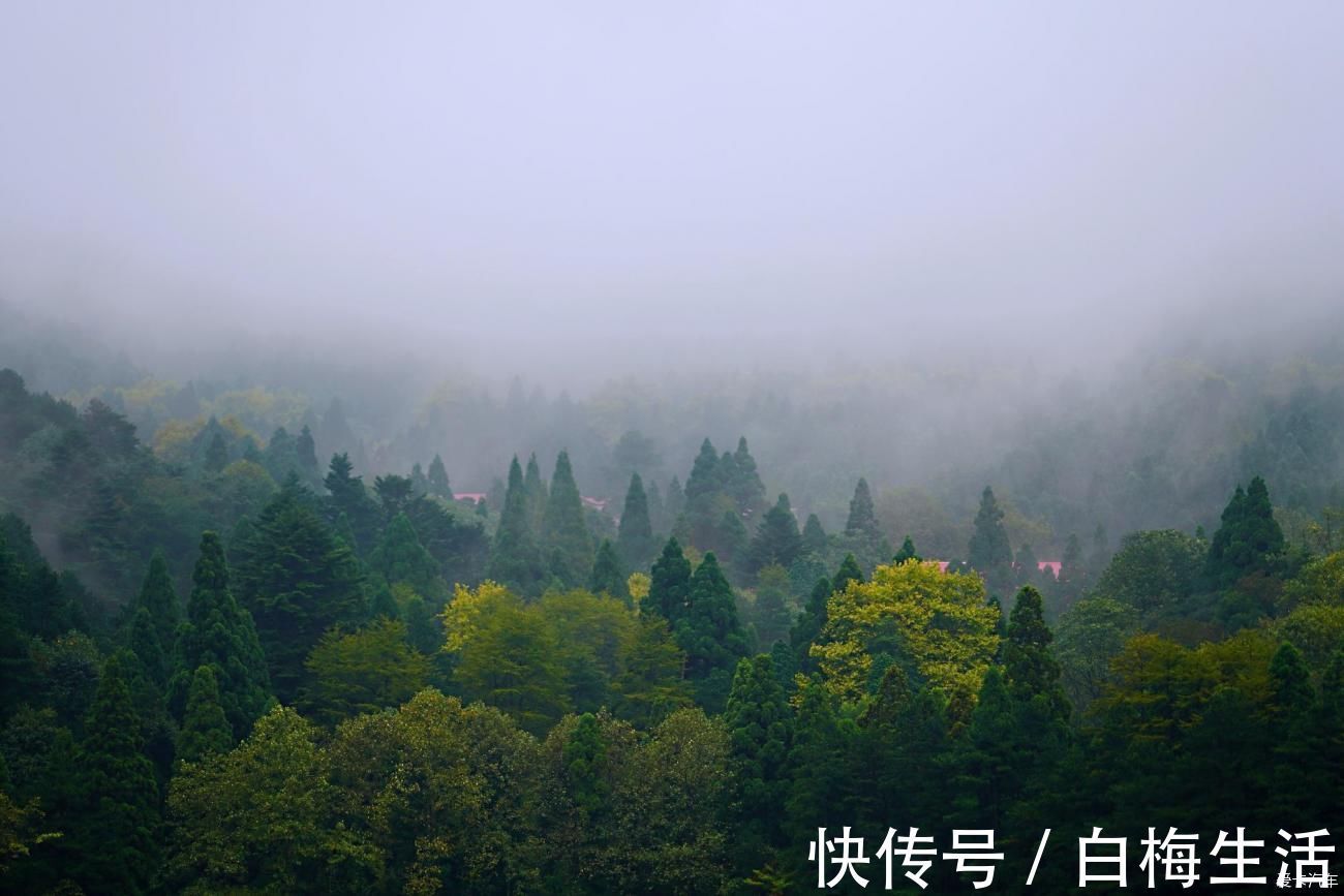 牯岭镇|大美庐山一个千古有名的风景胜地，壮丽的风光无不让人赞叹