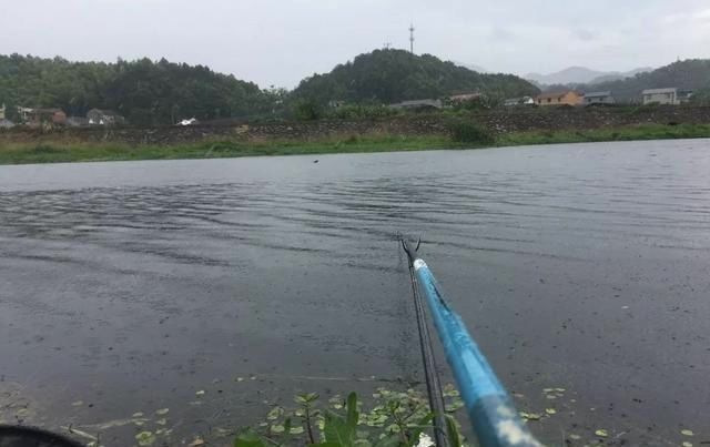 鱼情|高温天垂钓不宜用蚯蚓实践出真知,“万能饵”并非浪得虚名