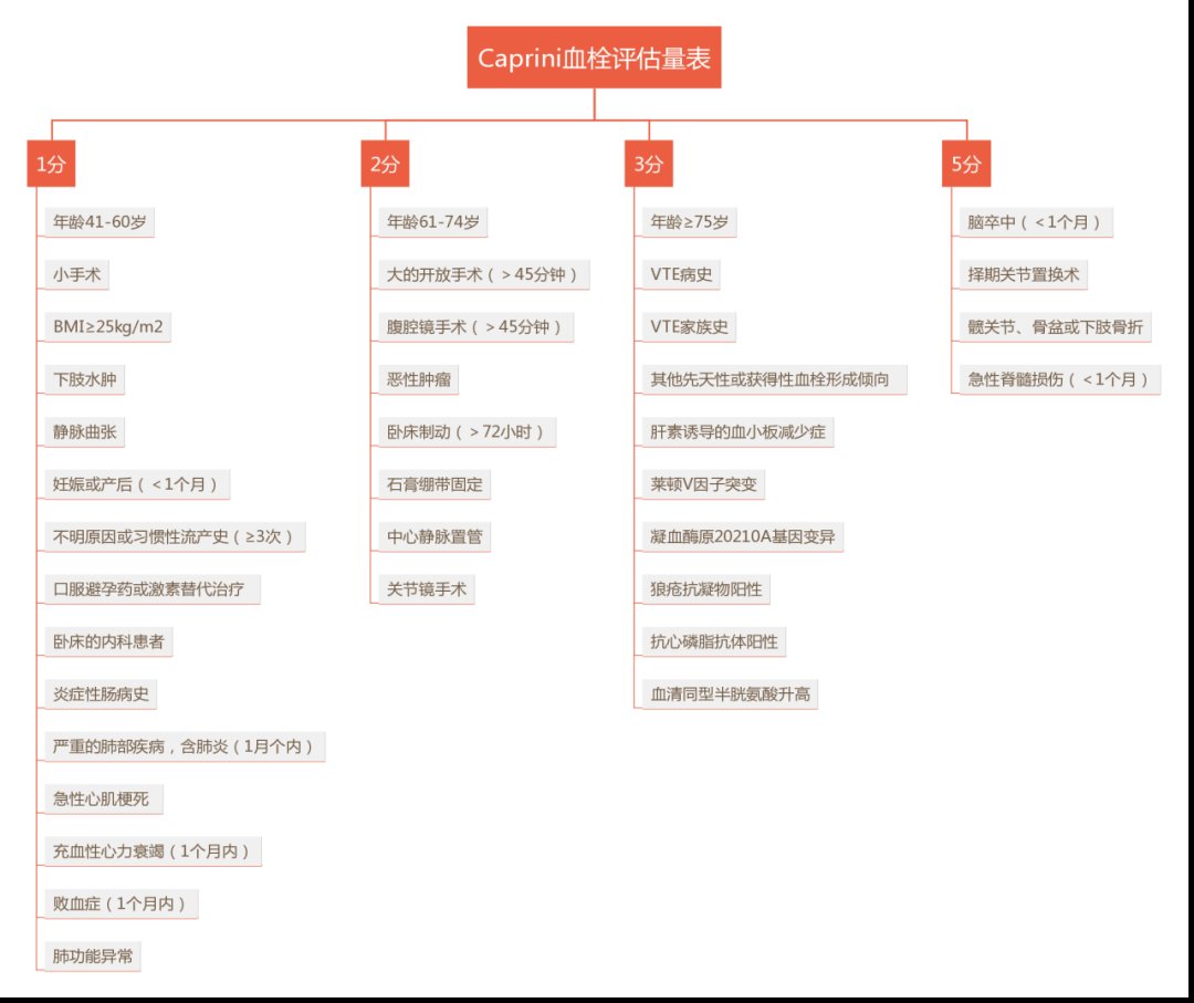 思维导图|巧用思维导图，轻松get血栓知识