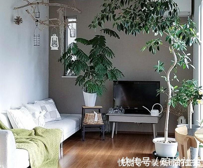 小两口之家,全屋布满绿植鲜花,把生活过成了诗,太美太治愈了