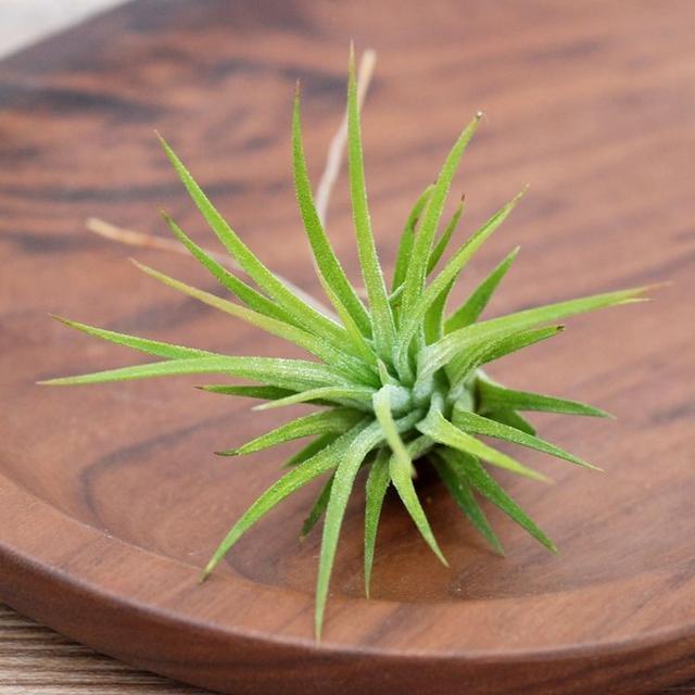 吵架|珍惜这几个星座男,吵架后会主动低头认错,只因他们太爱你