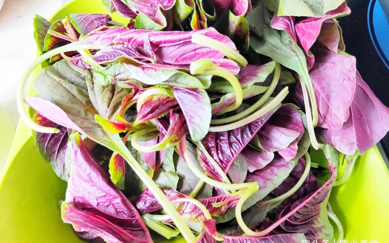 叶酸|4种富含“天然叶酸”的营养蔬菜,很多人不了解,常吃身体好