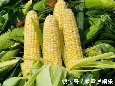 美白|人到中年都怕老，别急！秘密就是这些食物，补水美白、延缓衰老！