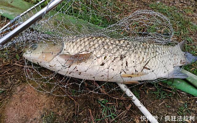 钓具|会钓鱼的一根杆，不会钓鱼的杂货铺