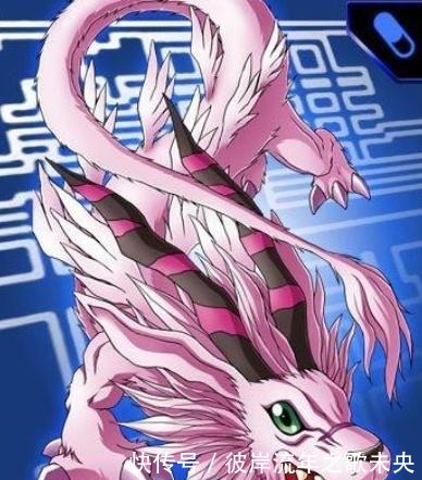 四大|数码宝贝最辣眼睛的四大龙型数码兽,实力和颜值差距太大!