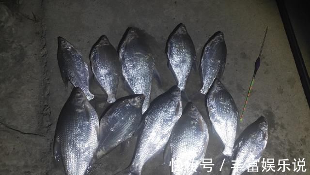 钓友|野钓鳊鱼时的实践技巧,老钓友详细讲解,非常实用