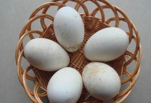 女性到了中年常吃四种食物,值得每天吃一些,排毒消脂,延缓肌肤