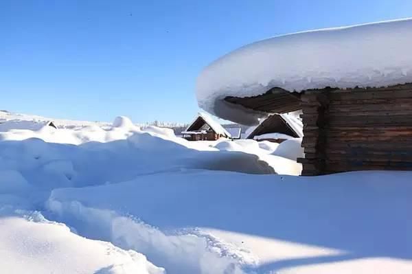 神话里|如果东北的雪景是童话，那北疆的雪景便是神话！