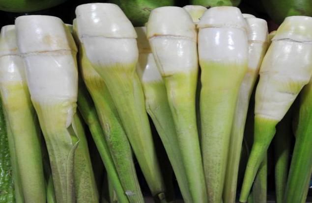 营养|?这种野菜长在河里,味道美味可口,营养非常丰富,推荐大家