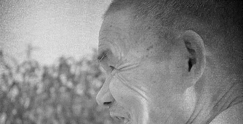 泌尿系统疾病|98岁的季羡林,患2种癌,依旧高寿,专家他的秘诀很多人做不到