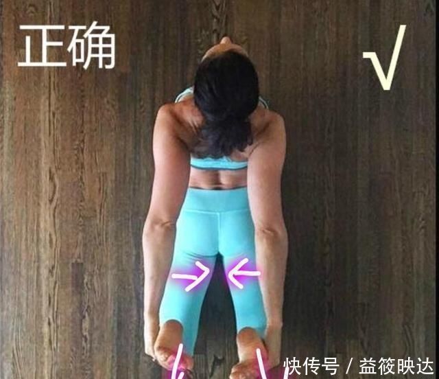 拉伸|为什么你天天拉伸腿后侧,却完全看不到效果