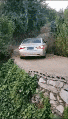 |搞笑笑话,动图:大哥是从阿三那边进修了吧!