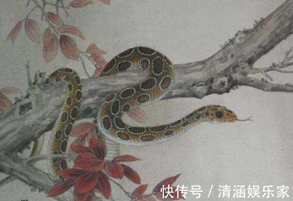 生肖蛇|80岁高僧说了生肖蛇晚年的“龙蛇飞动”，家有属蛇的看看吧