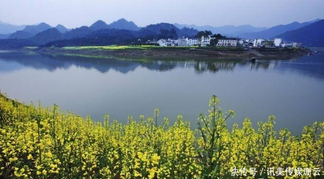 圆弧|【安徽油菜花】最全徽州油菜花赏花地图来了,这份攻略要收好