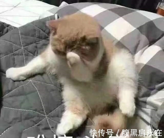 拜冰|《拜托了冰箱》王嘉尔被当马骑，引网友众怒，老牌综艺也翻车？