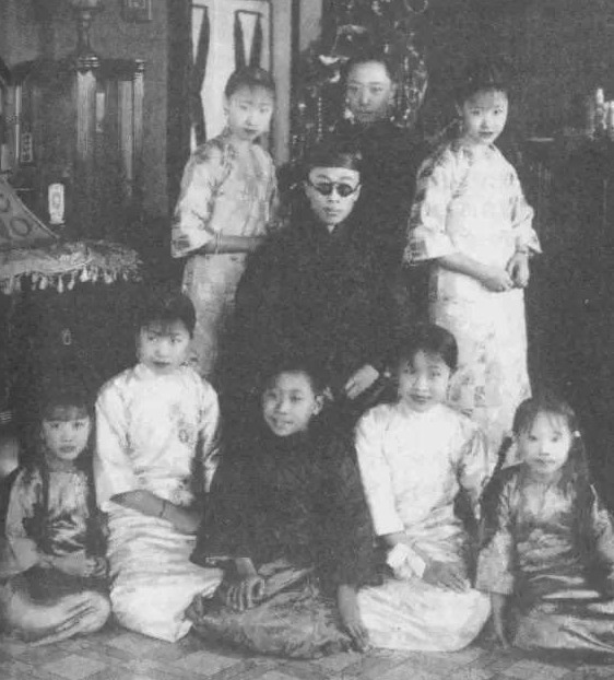 弟弟|溥仪一生没有子嗣，亲弟弟却连生三子，儿女皆成为国家栋梁