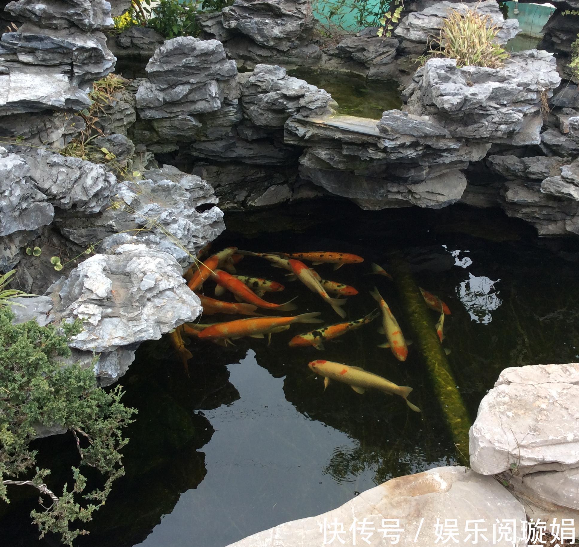 系列|阴阳哲学探索系列之一百零四十三(以闷闷和察察为例)