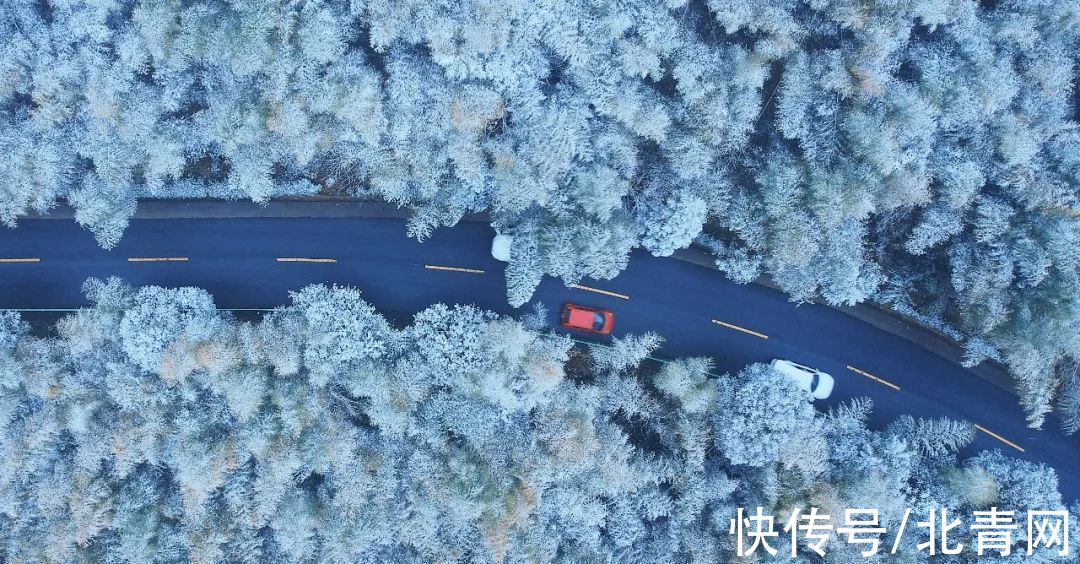 云海|太美了！台州最新雪景！括苍山跌至-10℃，再现云海奇观