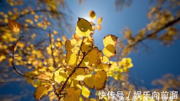 阳虚|秋季,阳气越来越弱!这3件事你一定要知道,滋阴同时也需要固阳